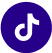 socials-tiktok-icon